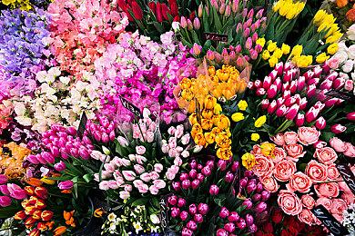 《星际公民》开发商在年度展会后又裁员 还不给补偿