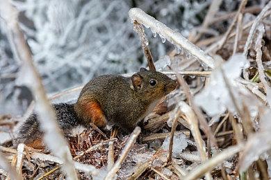 《血祭》风格的复古FPS游戏新作《Cultic》现已发售
